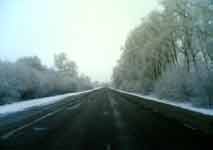 вдоль дороги тянутся вереницы деревьев, согнувшихся под тяжестью свежевыпавшего снежка…
